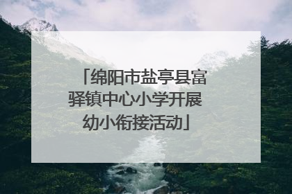 绵阳市盐亭县富驿镇中心小学开展幼小衔接活动