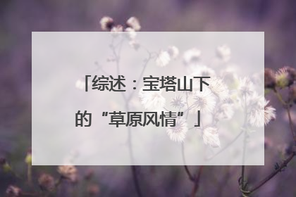 综述：宝塔山下的“草原风情”