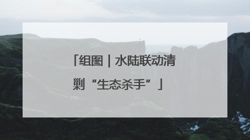 组图｜水陆联动清剿“生态杀手”