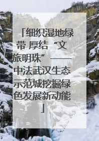 细织湿地绿带 厚结“文旅明珠”——中法武汉生态示范城挖掘绿色发展新动能