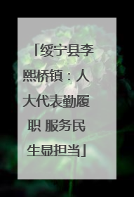 绥宁县李熙桥镇：人大代表勤履职 服务民生显担当