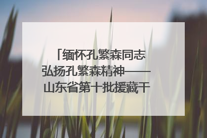 缅怀孔繁森同志 弘扬孔繁森精神——山东省第十批援藏干部人才清明节前到岗巴县开展党性教育
