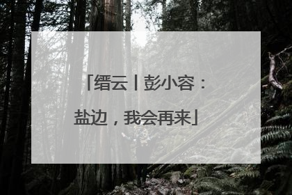 缙云丨彭小容：盐边，我会再来