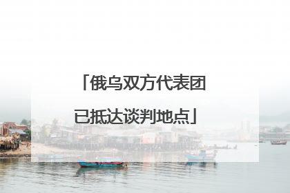 俄乌双方代表团已抵达谈判地点