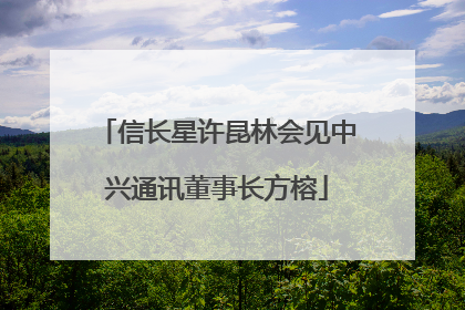 信长星许昆林会见中兴通讯董事长方榕