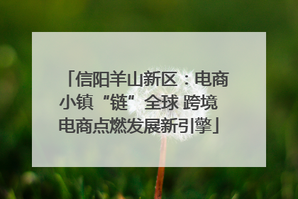 信阳羊山新区：电商小镇“链”全球 跨境电商点燃发展新引擎
