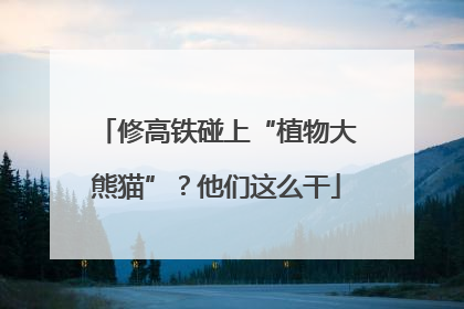修高铁碰上“植物大熊猫”？他们这么干