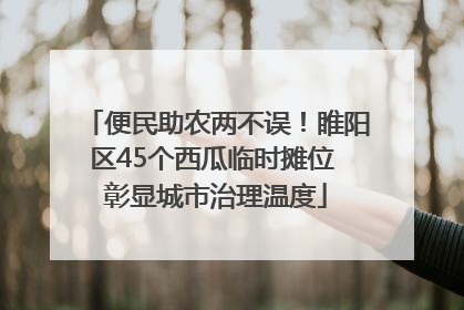 便民助农两不误！睢阳区45个西瓜临时摊位 彰显城市治理温度