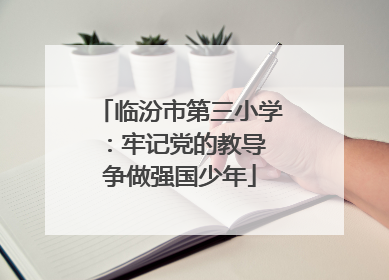 临汾市第三小学：牢记党的教导 争做强国少年