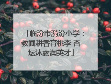 临汾市漪汾小学：教圃耕香育桃李 杏坛沐露润英才