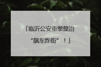 临沂公安重拳整治“飙车炸街”！