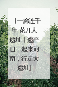 一廊连千年 花开大遗址丨遗产日一起来河南，行走大遗址