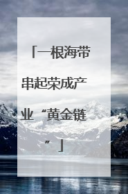 一根海带串起荣成产业“黄金链”