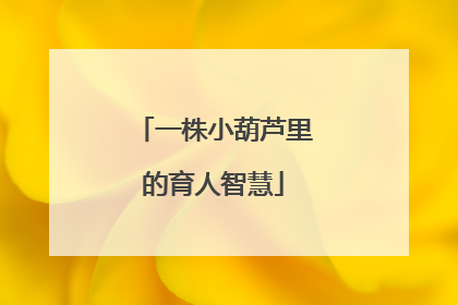 一株小葫芦里的育人智慧