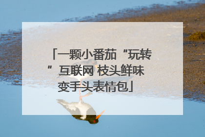一颗小番茄“玩转”互联网 枝头鲜味变手头表情包