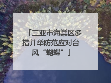三亚市海棠区多措并举防范应对台风“蝴蝶”