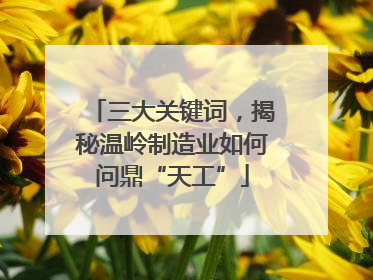 三大关键词，揭秘温岭制造业如何问鼎“天工”
