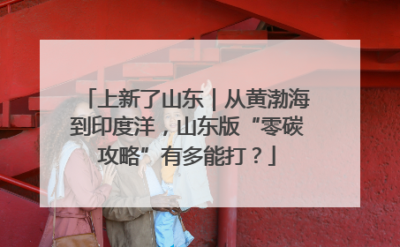 上新了山东｜从黄渤海到印度洋，山东版“零碳攻略”有多能打？
