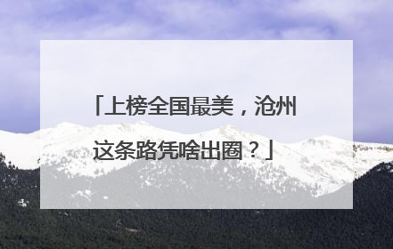上榜全国最美，沧州这条路凭啥出圈？