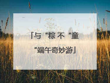 与“粽 不“童“端午奇妙游