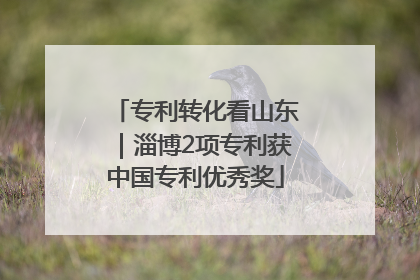 专利转化看山东｜淄博2项专利获中国专利优秀奖
