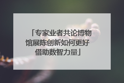 专家业者共论博物馆展陈创新如何更好借助数智力量