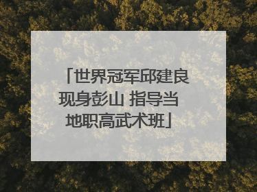 世界冠军邱建良现身彭山 指导当地职高武术班