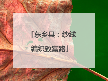 东乡县：纱线编织致富路