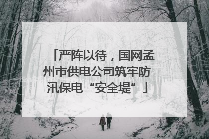 严阵以待，国网孟州市供电公司筑牢防汛保电“安全堤”