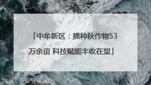 中牟新区：播种秋作物53万余亩 科技赋能丰收在望