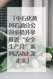 中石化黄冈石油分公司多措并举推进“安全生产月”系列活动走深走实
