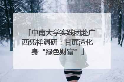 中南大学实践团赴广西凭祥调研：甘蔗渣化身“绿色财富”