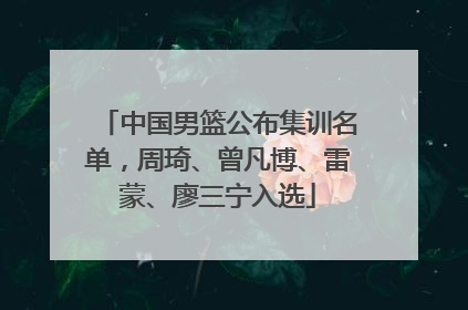 中国男篮公布集训名单，周琦、曾凡博、雷蒙、廖三宁入选