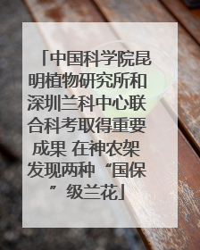 中国科学院昆明植物研究所和深圳兰科中心联合科考取得重要成果 在神农架发现两种“国保”级兰花