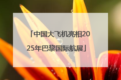 中国大飞机亮相2025年巴黎国际航展