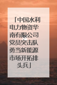 中国水利电力物资华南有限公司党员突击队勇当新能源市场开拓排头兵