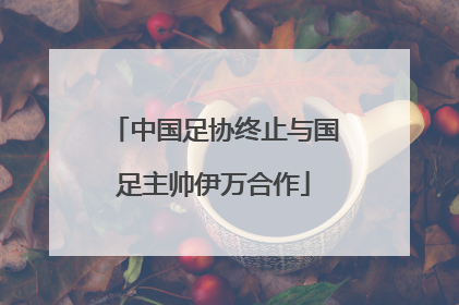 中国足协终止与国足主帅伊万合作