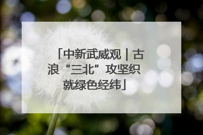 中新武威观｜古浪“三北”攻坚织就绿色经纬