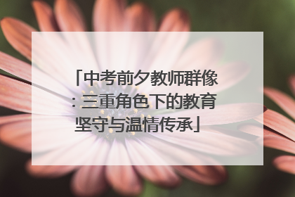中考前夕教师群像：三重角色下的教育坚守与温情传承