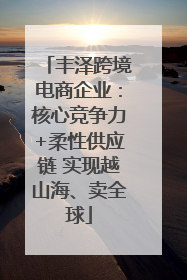 丰泽跨境电商企业：核心竞争力+柔性供应链 实现越山海、卖全球