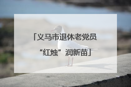 义马市退休老党员“红烛”润新苗