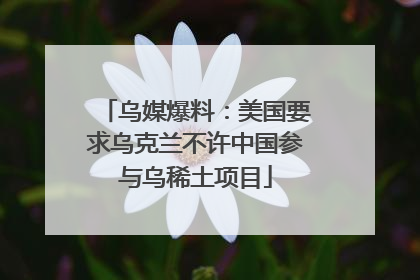 乌媒爆料：美国要求乌克兰不许中国参与乌稀土项目