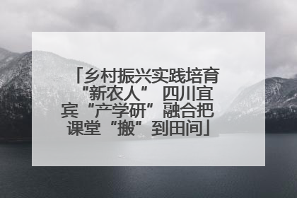 乡村振兴实践培育“新农人” 四川宜宾“产学研”融合把课堂“搬”到田间