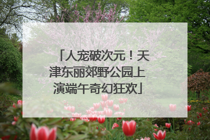 人宠破次元！天津东丽郊野公园上演端午奇幻狂欢