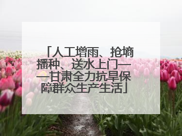人工增雨、抢墒播种、送水上门——甘肃全力抗旱保障群众生产生活