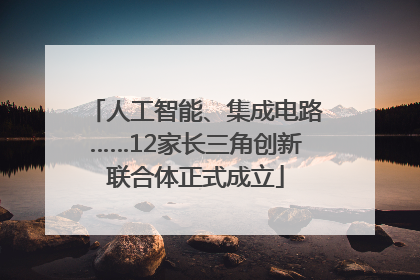 人工智能、集成电路……12家长三角创新联合体正式成立
