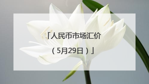 人民币市场汇价（5月29日）