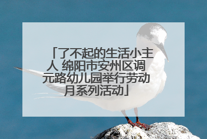 了不起的生活小主人 绵阳市安州区调元路幼儿园举行劳动月系列活动