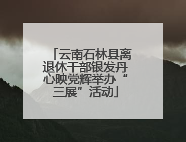 云南石林县离退休干部银发丹心映党辉举办“三展”活动