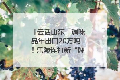 云话山东｜调味品年出口20万吨！乐陵连打新“牌”助力企业出海